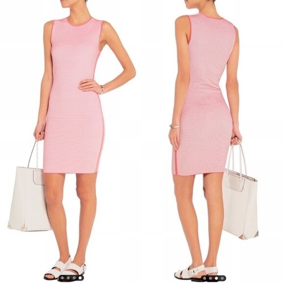 NWT‎ Alexander Wang Optical Stripe Ribbed Jersey dress S - Picture 1 of 8